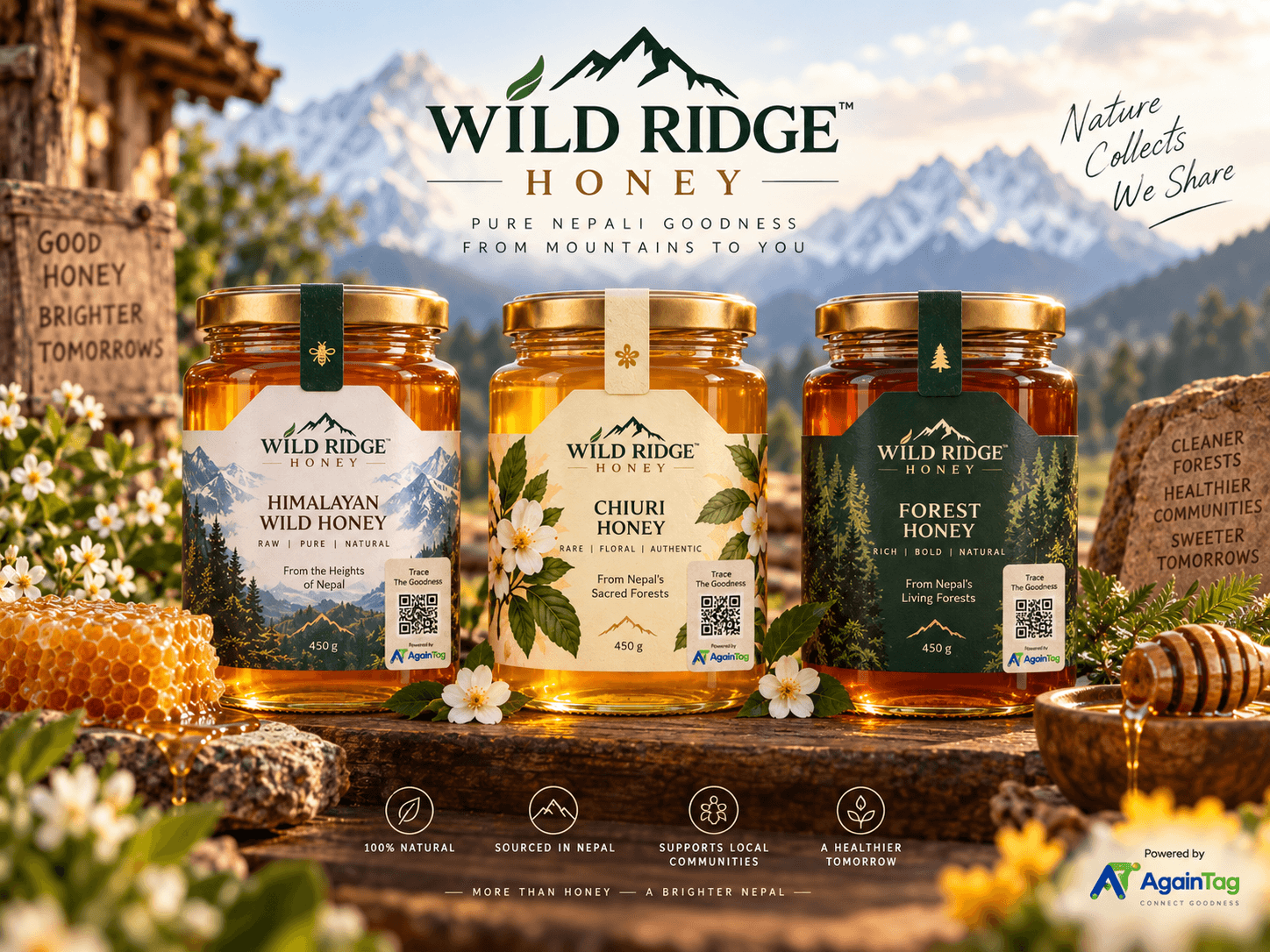 Wild Ridge Honey sample packaging